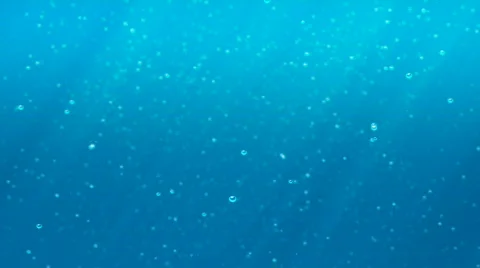 Underwater world Stock Footage 325362
