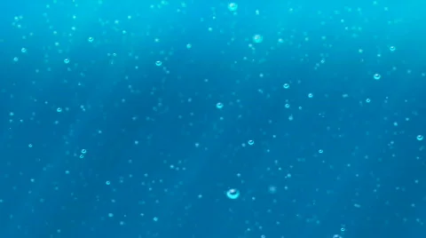Underwater world Stock Footage 621102