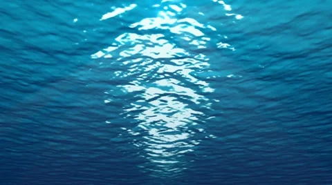 Underwater world. Stock Footage 8565521