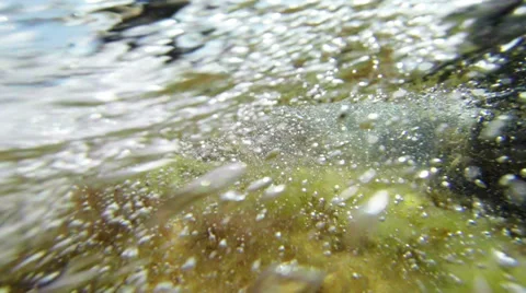 Underwater world 스톡 동영상 28461302