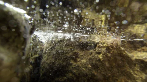 Underwater world Stock Footage 28464135