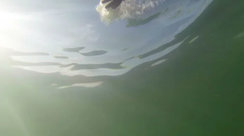 Underwater world Stock Footage 28471636