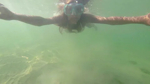 Underwater world Stock Footage 41611442