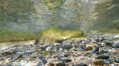 Underwater world Video stock 56483427