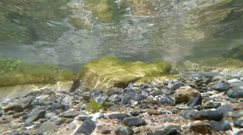 Underwater world Video stock 56483609