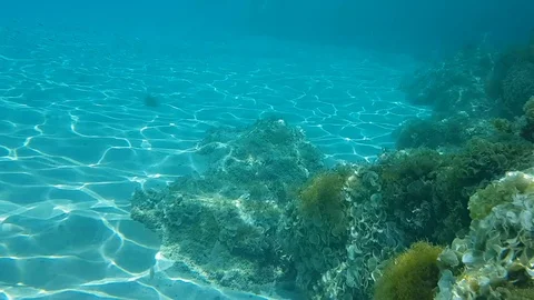 Underwater world Stock Footage 91661067