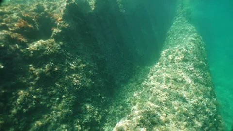 Underwater world. Stock Footage 98197204