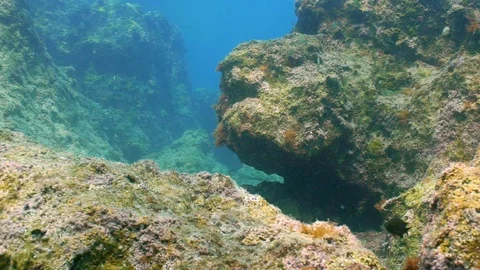 Underwater World Stock Footage 122210870