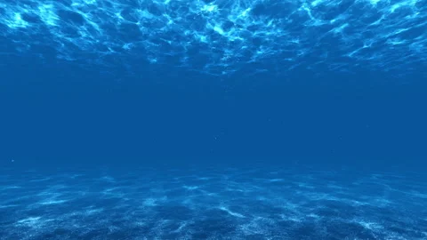 Underwater World Stock-Footage 263924654