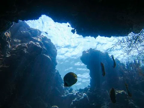 UNDERWATER WORLD Stock Photos