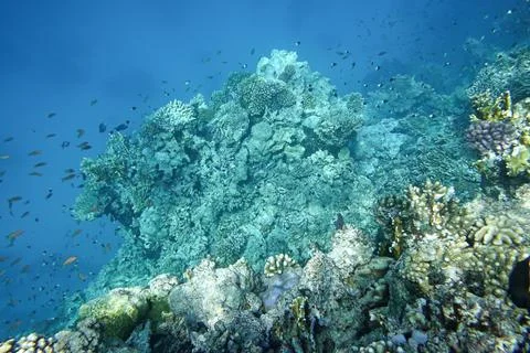 Underwater world Stock-Fotos