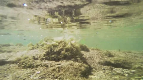 The underwater world in a small river. Reflection of water Stock Footage 64364998
