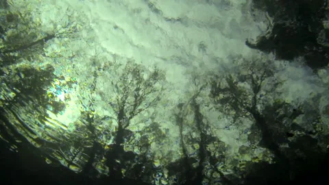 Underwater, worms eye view, clouds, overcast 3 Video stock 146866226