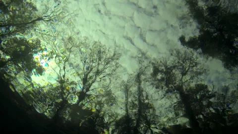 Underwater, worms eye view, clouds, overcast 2 Video stock 146866237