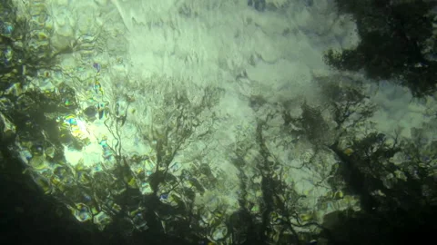 Underwater, worms eye view, clouds, overcast 4 Video stock 146866256
