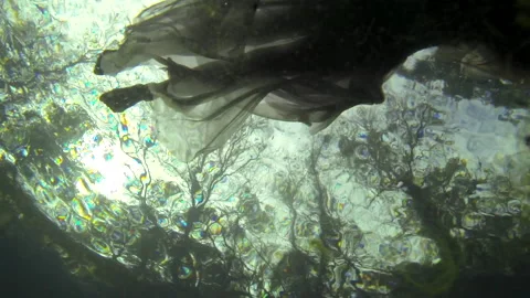 Underwater, worms eye view, clouds, overcast, girl swimming Video stock 146866297