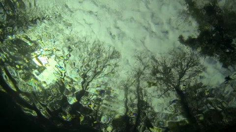 Underwater, worms eye view, clouds, overcast, girl swimming Video stock 146866313