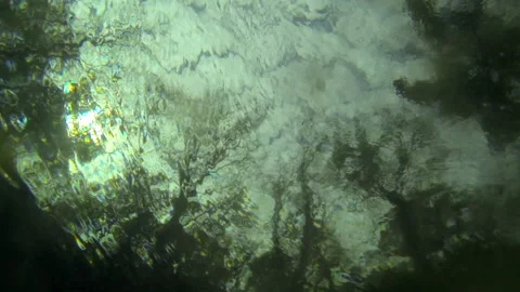 Underwater, worms eye view, clouds, overcast 1 Video stock 146866318