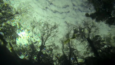 Underwater, worms eye view, clouds, overcast 5 Video stock 146866326