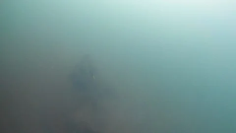 Underwater Wreckage Stock Footage 115911345
