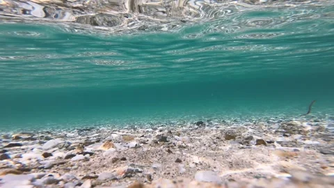 Underwater1 nk1 Stock Footage 315185934