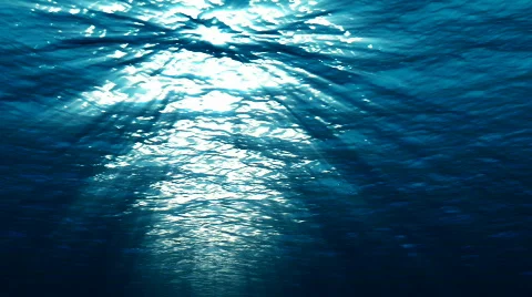 Underwater_02 Stock Footage 276012