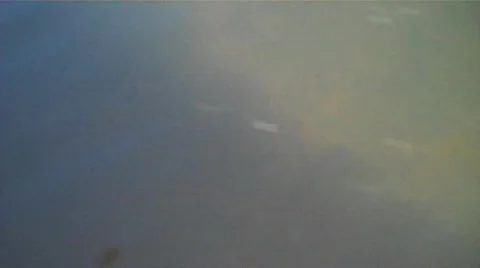 Underwaterroot Stock Footage 606876