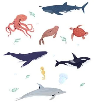 Underwster animals set with hand drawn sea life elements. Vector doodle cartoon Stock Illustration
