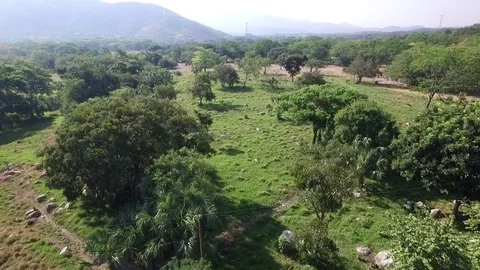 Undeveloped Green Rural Landscape Stock Footage 79470224