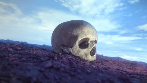 Undiscovered Skull 1 Stock-Footage 240940988