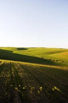 Undulate field Stock Photos