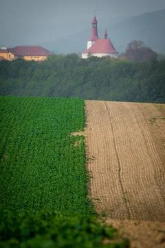Undulating fields with a church in the background Foto stock