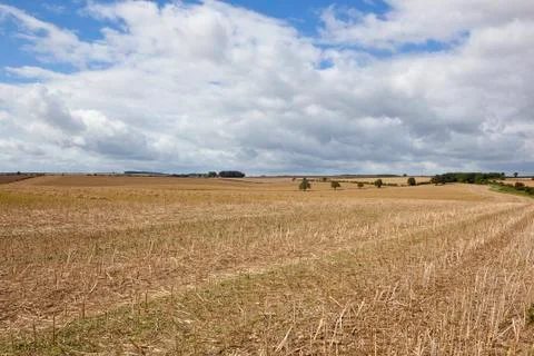 Undulating harvested fields Stock Photos
