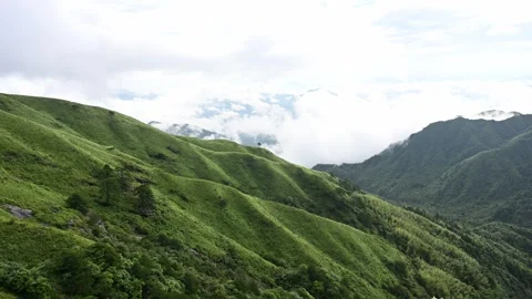 Undulating Meadow with Distant Sea of Clouds Stock-Footage 343666716