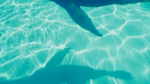 Undulating Ripple Pattern on Blue Water at bottom of Whale Tank Stock Footage 107436807