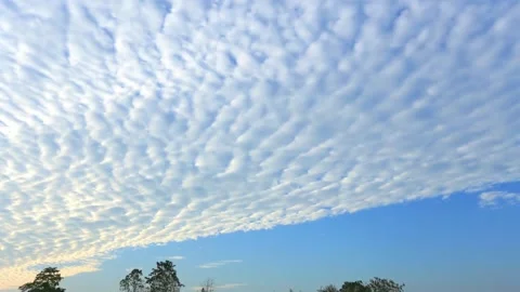 Undulating Stratocumulus Cloudscape at Dawn Video stock 311529818