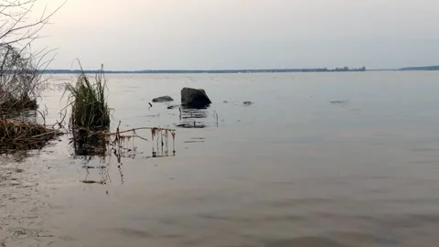 The undulating surface of a lake Stock Footage 270380459