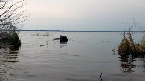 The undulating surface of a lake. Stock Footage 271580066