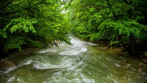 Uneasy flow of a mountain river Stock-Footage 79979779