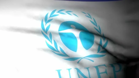 UNEP  3840x2160UHD Video stock 224421014