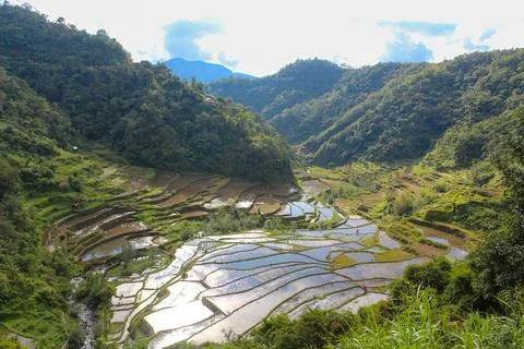 Unesco Batad Rice Terraces of the Philippine Cordilleras Stock Photos