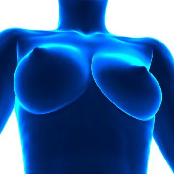 Uneven Breasts - different sizes Stock-Illustration