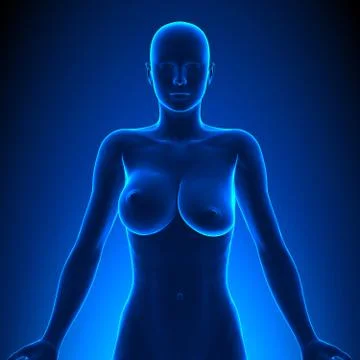 Uneven Breasts - different sizes 스톡 일러스트