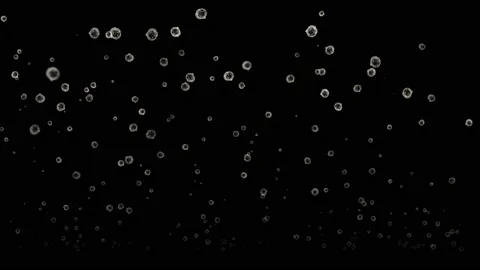 Uneven circles, kali, Microscopic bacteria and viruses 3D rendering, movement of Stock-Footage 215661378