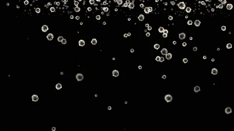 Uneven circles, kali, Microscopic bacteria and viruses 3D rendering, movement of Видео 217558481