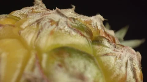 Uneven dense skin of pineapple fruit, close-up. Natural fruits are useful for Stock Footage 164632872