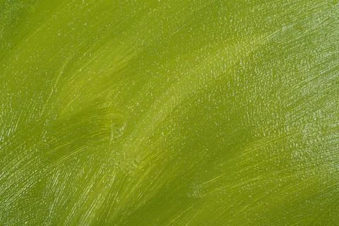 Uneven light olive-green solid background with reflections, close Foto stock