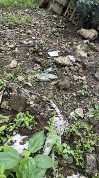 Uneven outdoor patch with soil, rocks, and sparse vegetation; visible plastic Foto stock