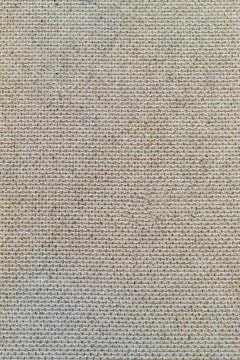 Uneven texture with small fleecy patterns for the background and texture to h Foto stock