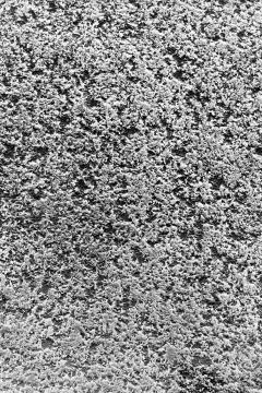 Uneven wall surface texture Stock Photos